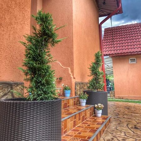Hotel Casa Andra Baia de Fier Zewnętrze zdjęcie