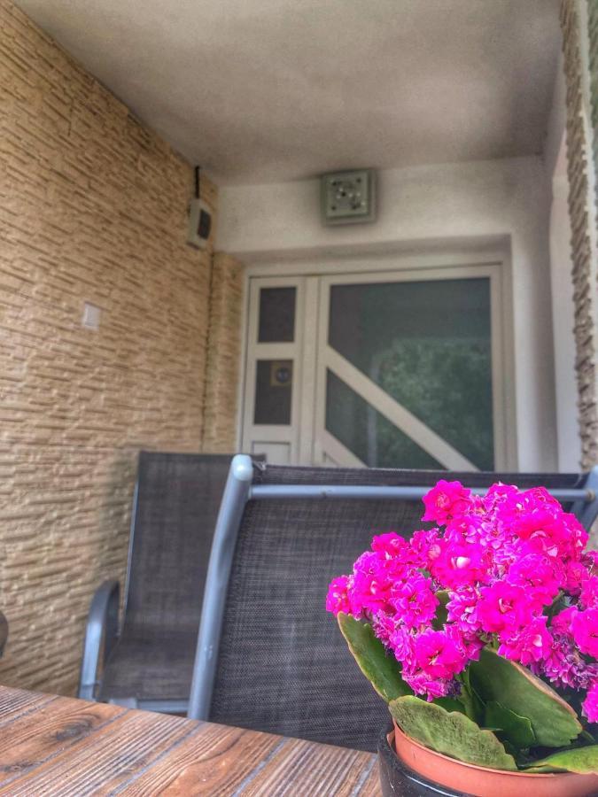 Hotel Casa Andra Baia de Fier Zewnętrze zdjęcie