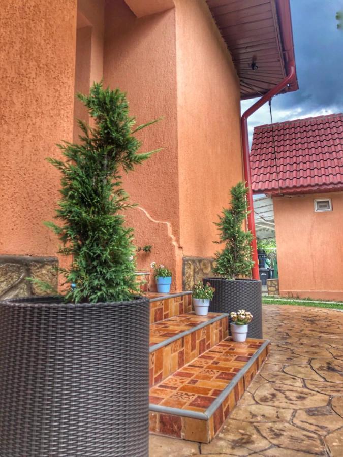 Hotel Casa Andra Baia de Fier Zewnętrze zdjęcie