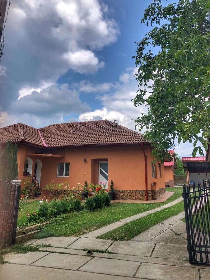 Hotel Casa Andra Baia de Fier Zewnętrze zdjęcie